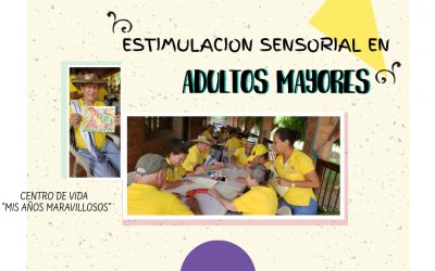 ACTIVIDAD DE ESTIMULACION SENSORIAL “CENTRO DE VIDA”